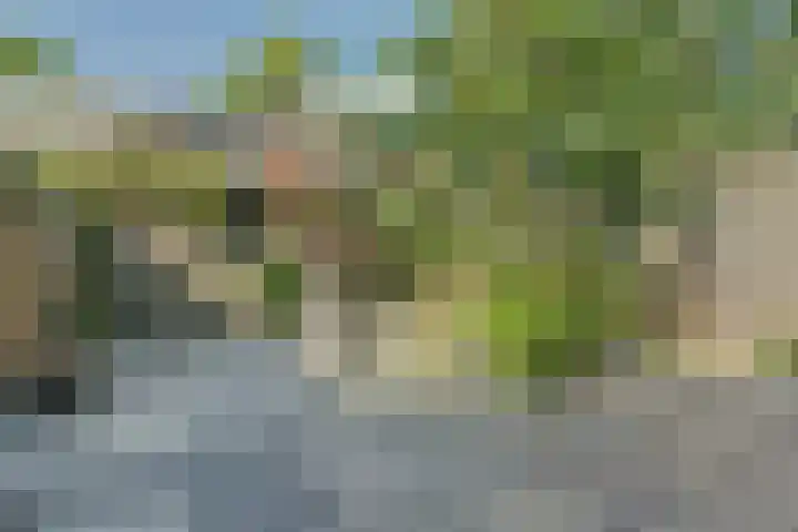 Poeldrik 120 Bemmel thumbnail 24