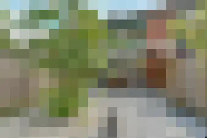 Poeldrik 120 Bemmel thumbnail 26