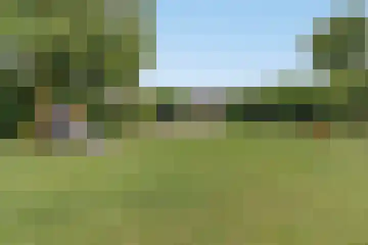 Poeldrik 120 Bemmel thumbnail 27