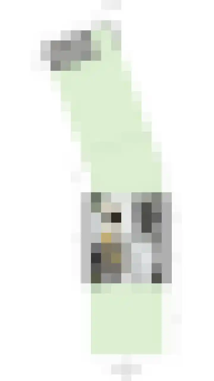 Poeldrik 120 Bemmel thumbnail 36