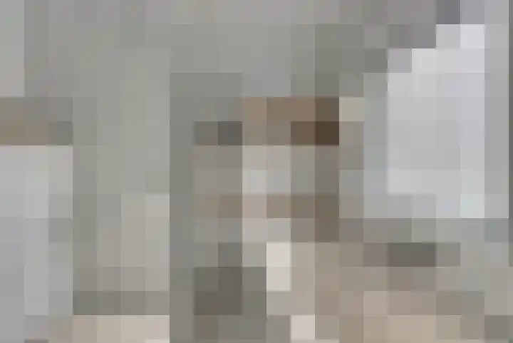 Poeldrik 3 Bemmel thumbnail 22