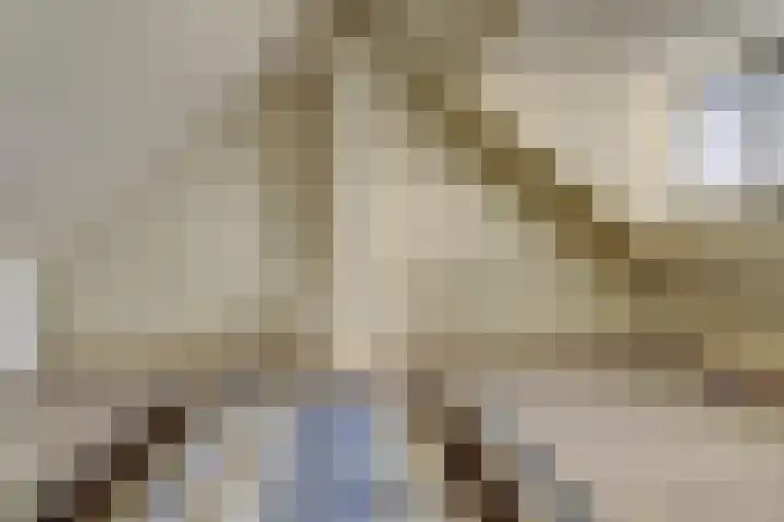 Poeldrik 3 Bemmel thumbnail 28