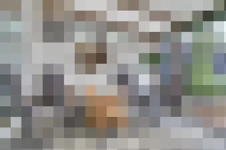 Poeldrik 3 Bemmel thumbnail 29