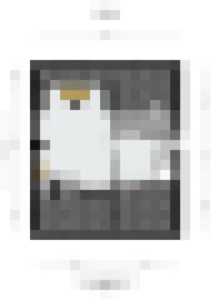 Poeldrik 3 Bemmel thumbnail 39