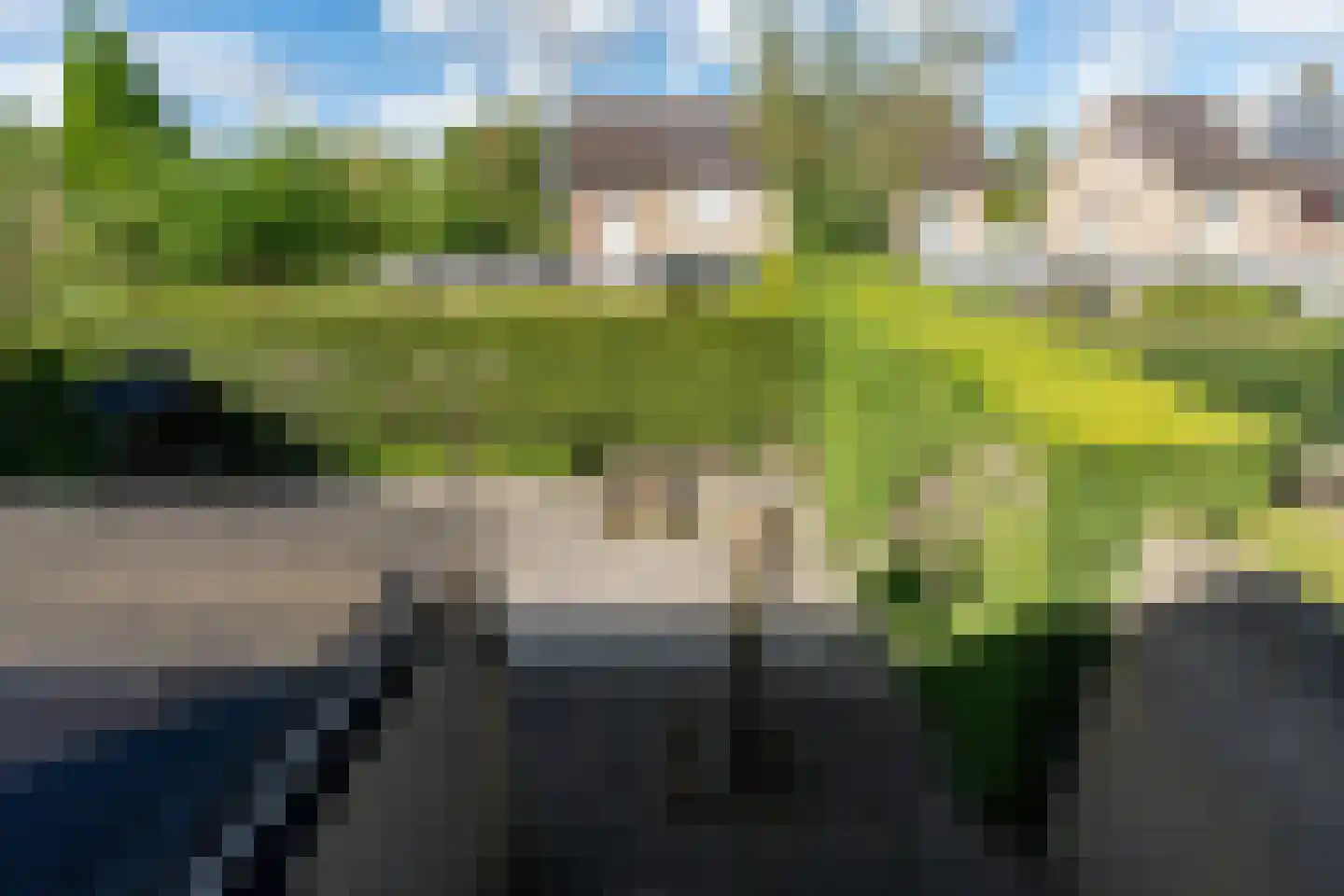 Poeldrik 40 Bemmel thumbnail 41