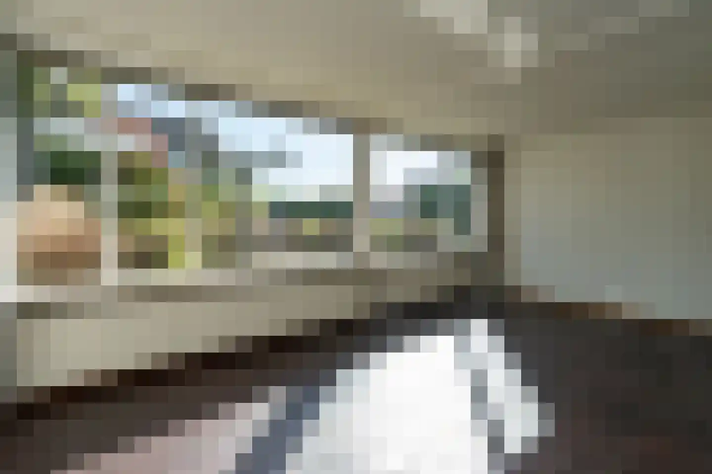 Poeldrik 40 Bemmel thumbnail 9