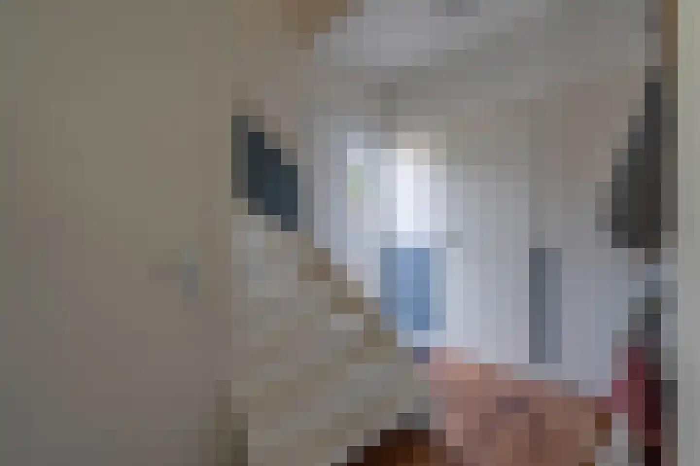 Poeldrik 71 Bemmel thumbnail 10
