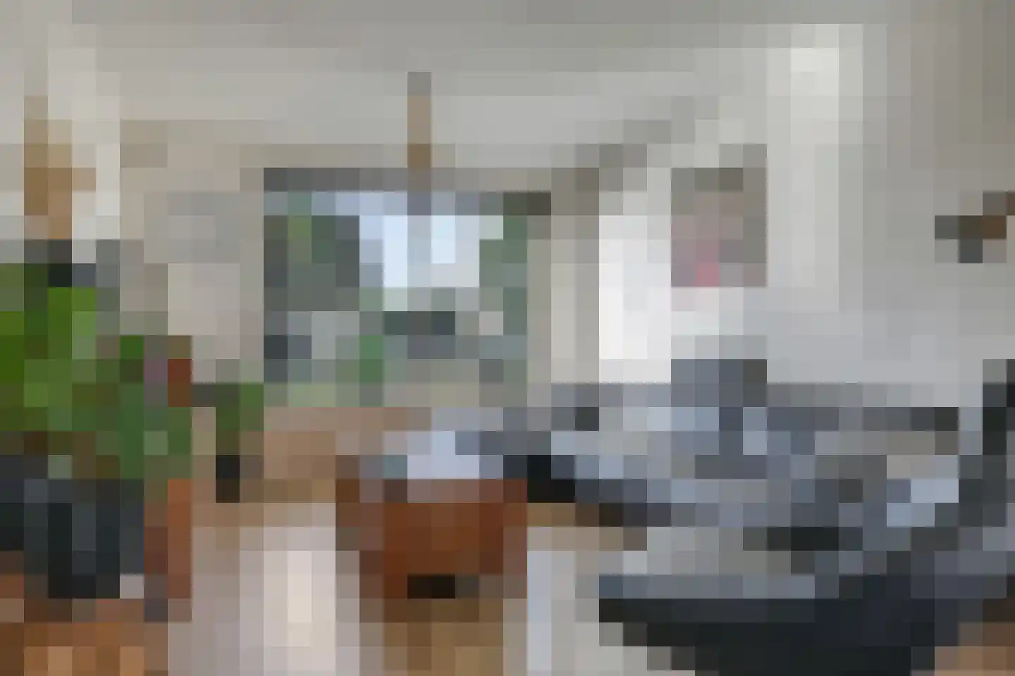 Poeldrik 73 Bemmel thumbnail 13