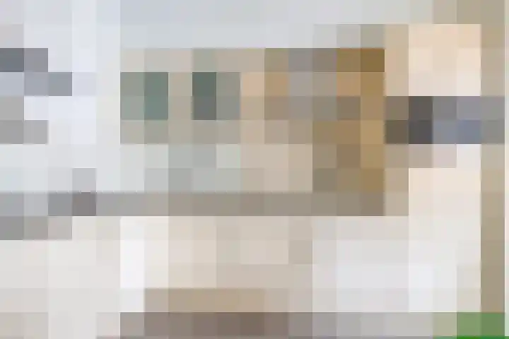 Poeldrik 79 Bemmel thumbnail 27