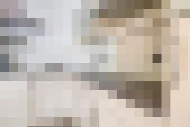 Poeldrik 79 Bemmel thumbnail 28