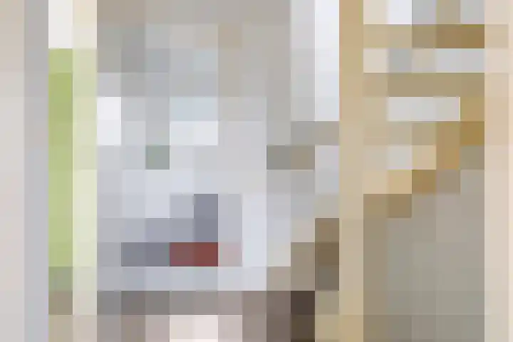 Poeldrik 79 Bemmel thumbnail 44