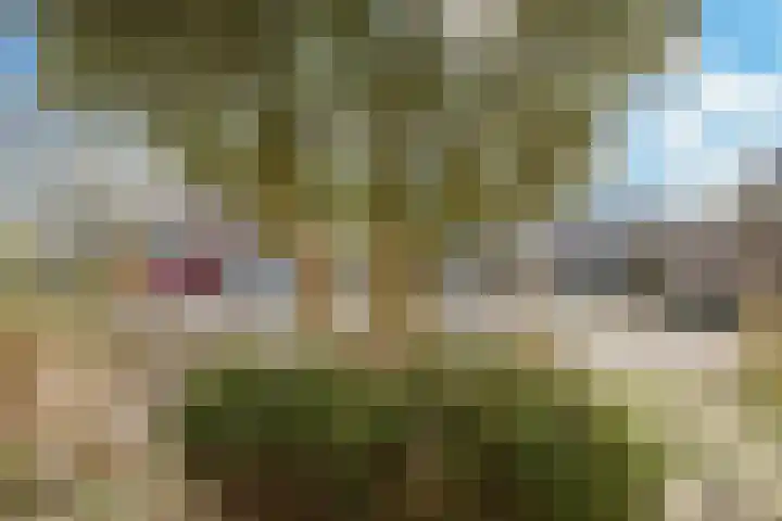 Poeldrik 79 Bemmel thumbnail 62