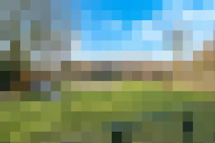 Poeldrik 79 Bemmel thumbnail 67