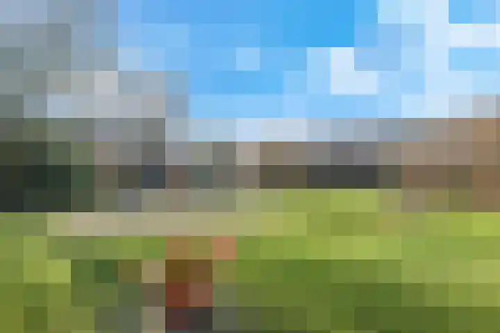 Poeldrik 79 Bemmel thumbnail 68