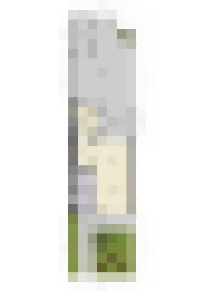 Poeldrik 79 Bemmel thumbnail 72