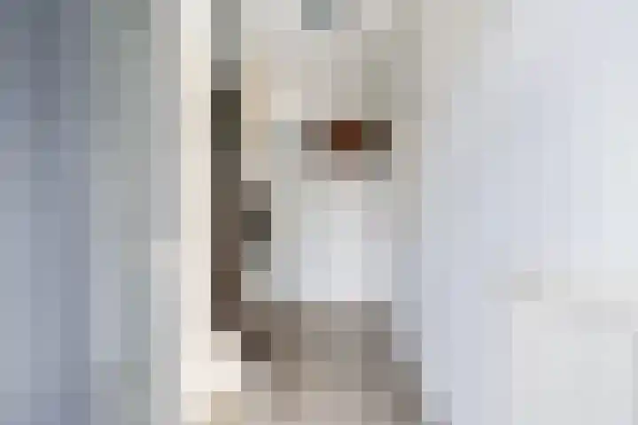 Poeldrik 79 Bemmel thumbnail 9