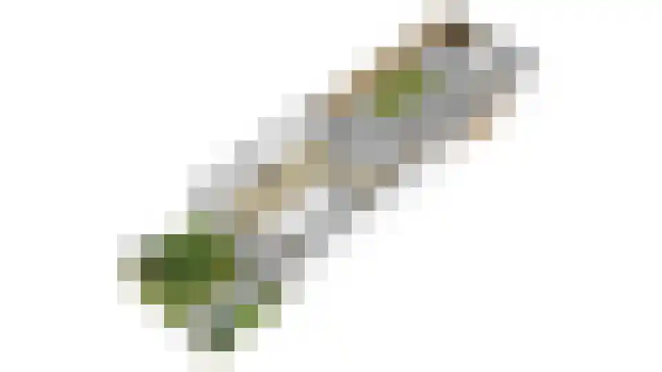 Poeldrik 90 Bemmel thumbnail 37