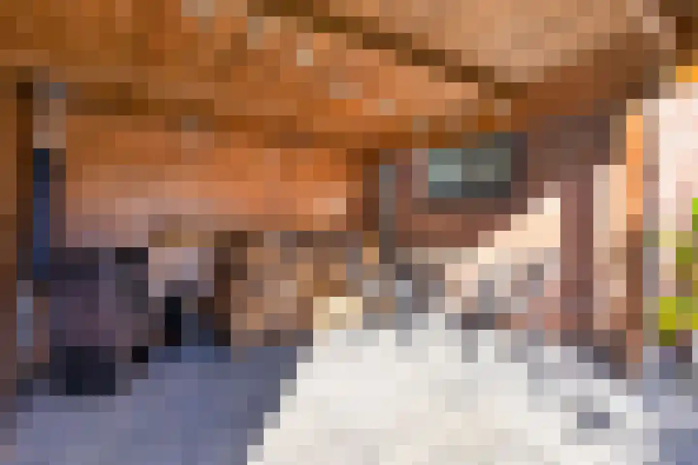 Poeldrik 90 Bemmel thumbnail 4