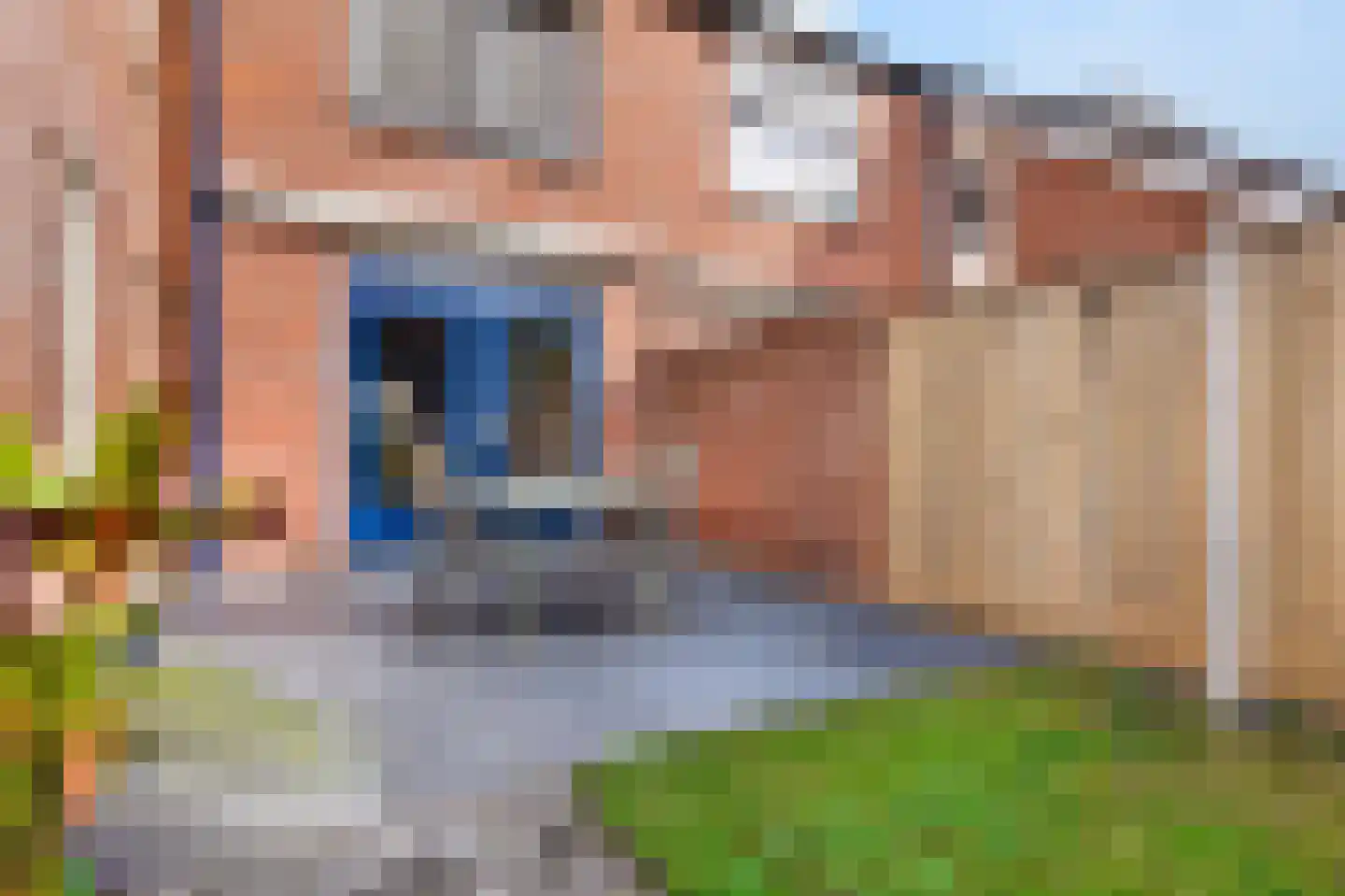 Poeldrik 90 Bemmel thumbnail 40
