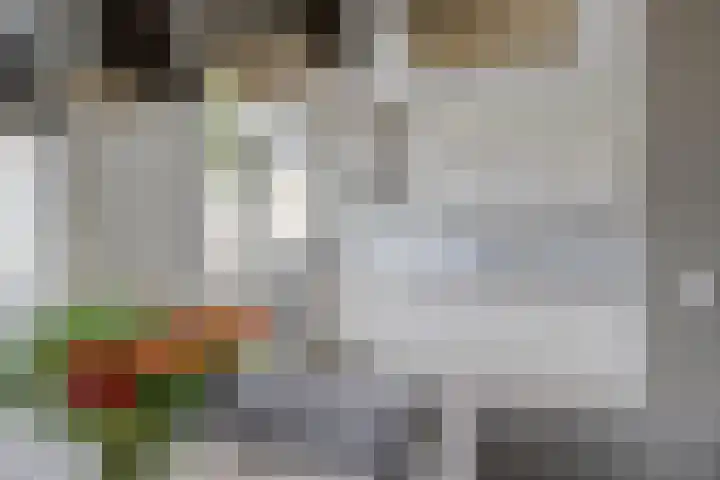 Poelekes 25 Halsteren thumbnail 10