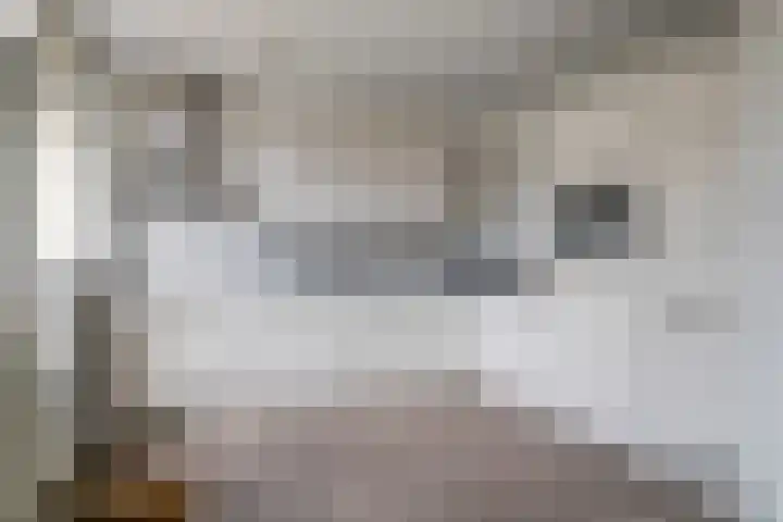 Poelekes 25 Halsteren thumbnail 11