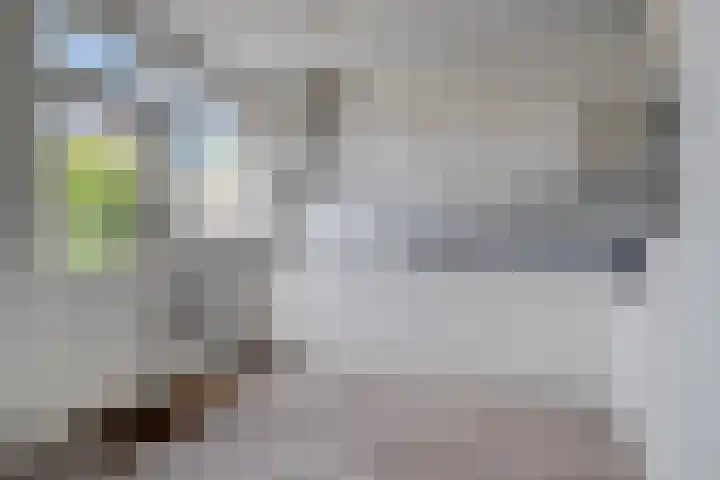 Poelekes 25 Halsteren thumbnail 12