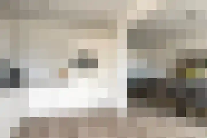 Poelekes 25 Halsteren thumbnail 13