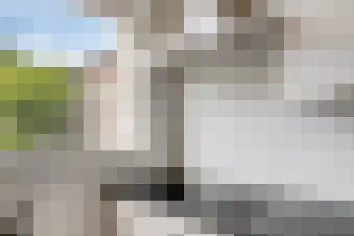 Poelekes 25 Halsteren thumbnail 14