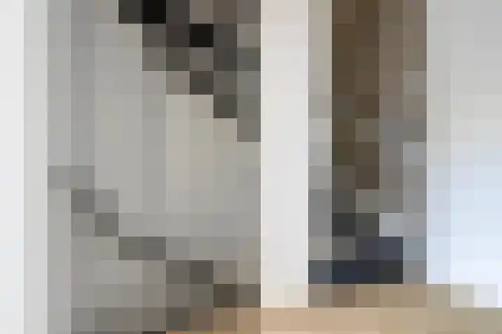 Poelekes 25 Halsteren thumbnail 18