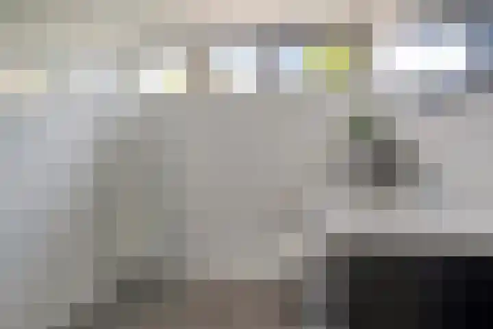 Poelekes 25 Halsteren thumbnail 19