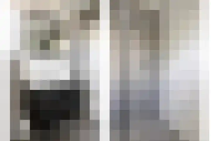 Poelekes 25 Halsteren thumbnail 20