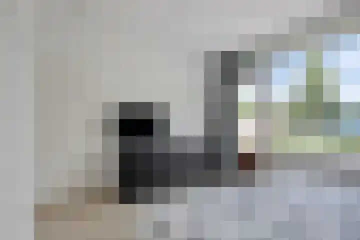 Poelekes 25 Halsteren thumbnail 22