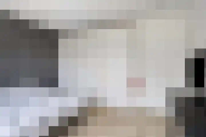 Poelekes 25 Halsteren thumbnail 23