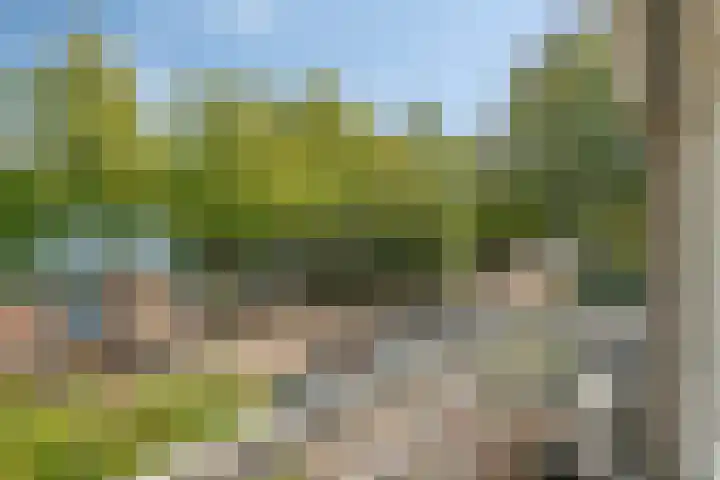 Poelekes 25 Halsteren thumbnail 24