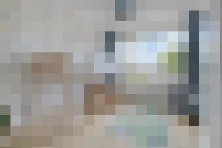 Poelekes 25 Halsteren thumbnail 26