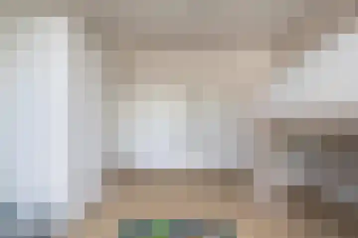 Poelekes 25 Halsteren thumbnail 27