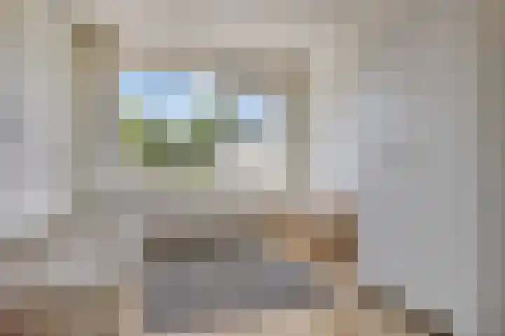 Poelekes 25 Halsteren thumbnail 29