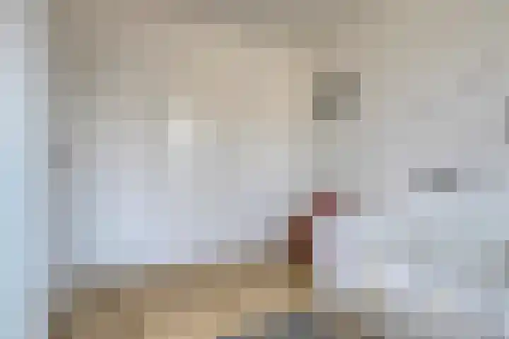 Poelekes 25 Halsteren thumbnail 30