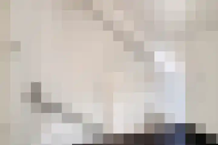 Poelekes 25 Halsteren thumbnail 31