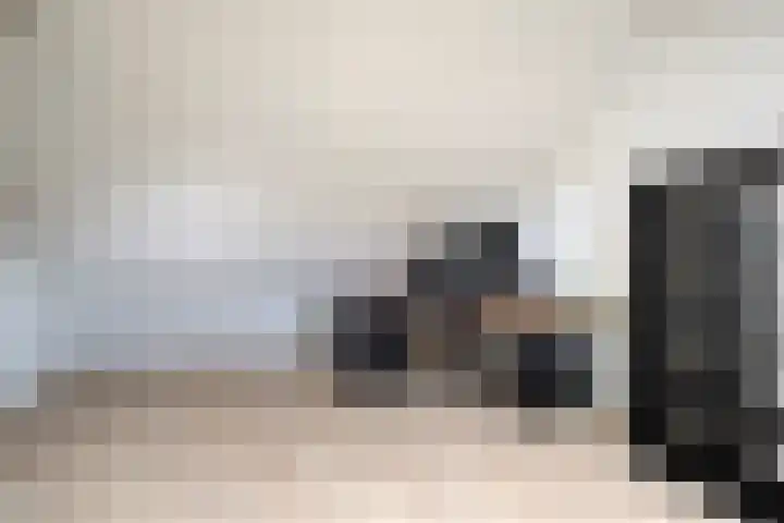 Poelekes 25 Halsteren thumbnail 34