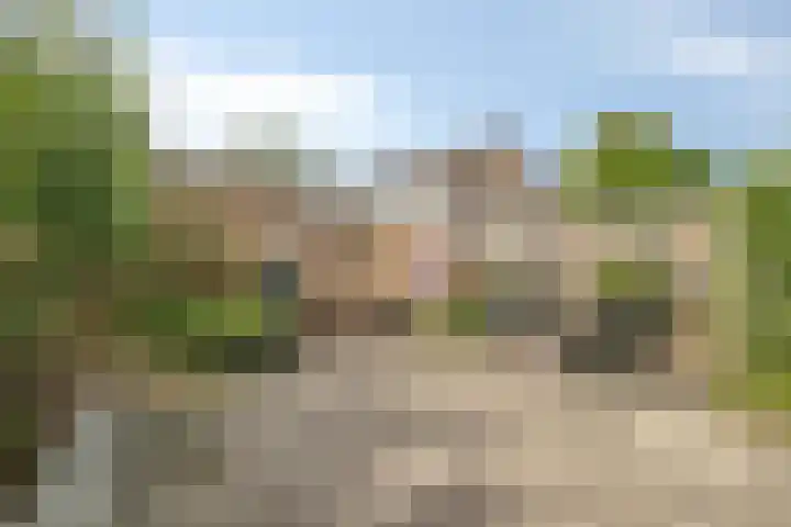 Poelekes 25 Halsteren thumbnail 37