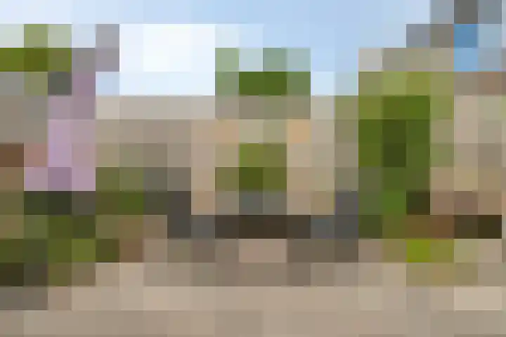 Poelekes 25 Halsteren thumbnail 39