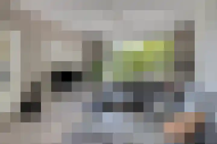 Poelekes 25 Halsteren thumbnail 4