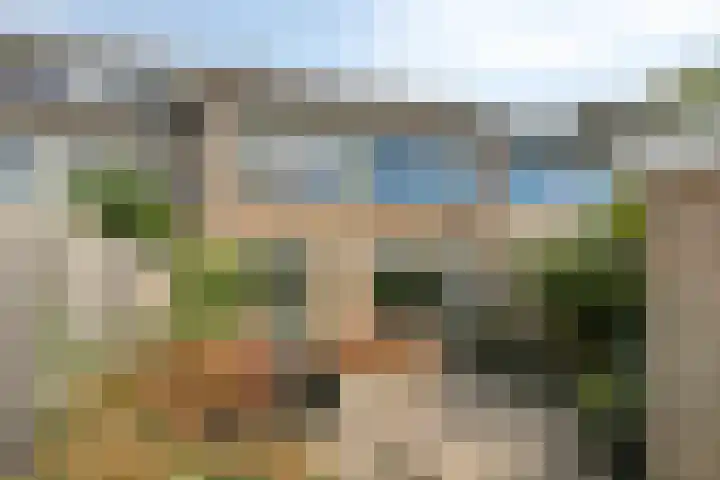 Poelekes 25 Halsteren thumbnail 40