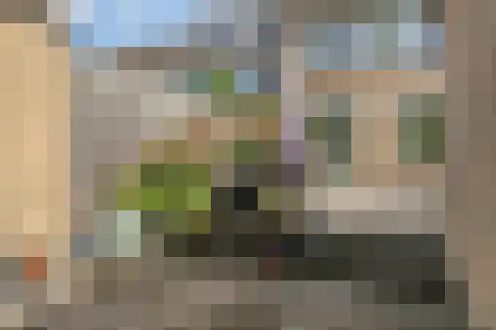Poelekes 25 Halsteren thumbnail 41