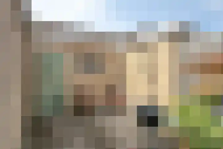 Poelekes 25 Halsteren thumbnail 42
