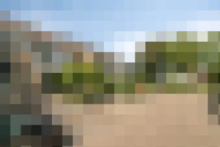Poelekes 25 Halsteren thumbnail 47