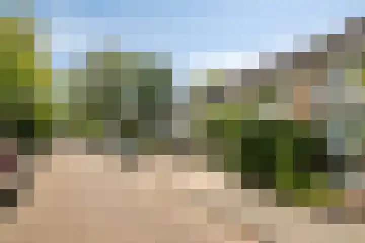 Poelekes 25 Halsteren thumbnail 48