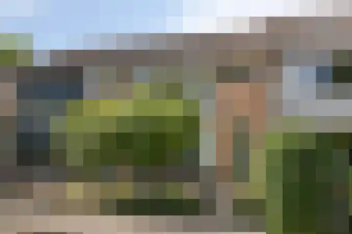 Poelekes 25 Halsteren thumbnail 49