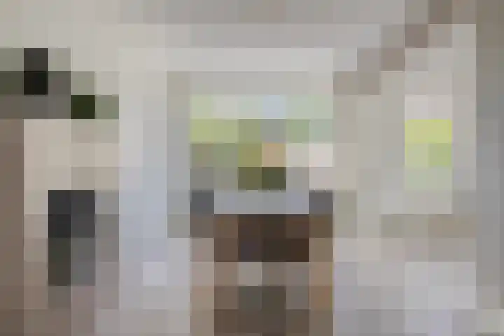 Poelekes 25 Halsteren thumbnail 7